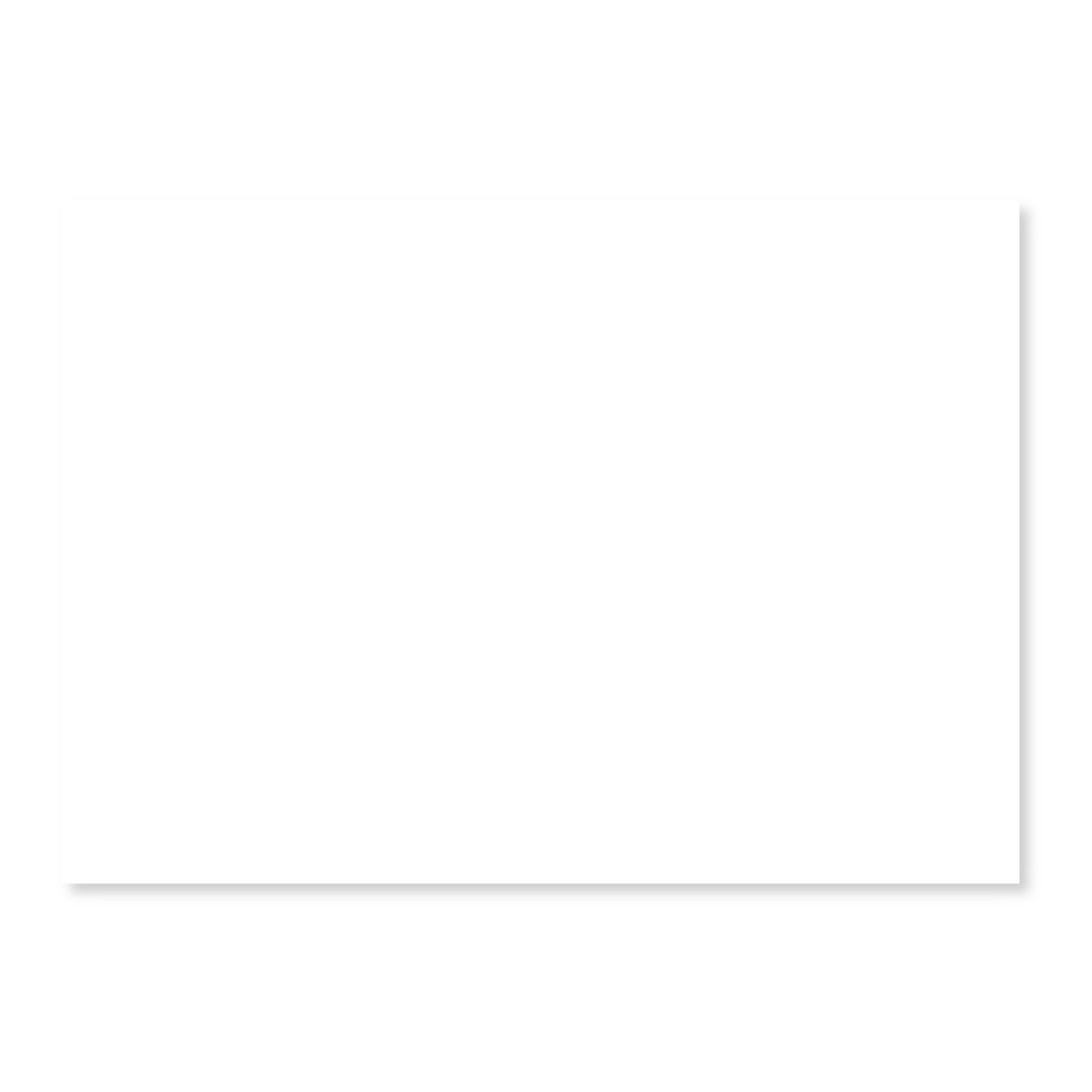 Leitner Flashcards® Karteikarten A6 weiß Blanko