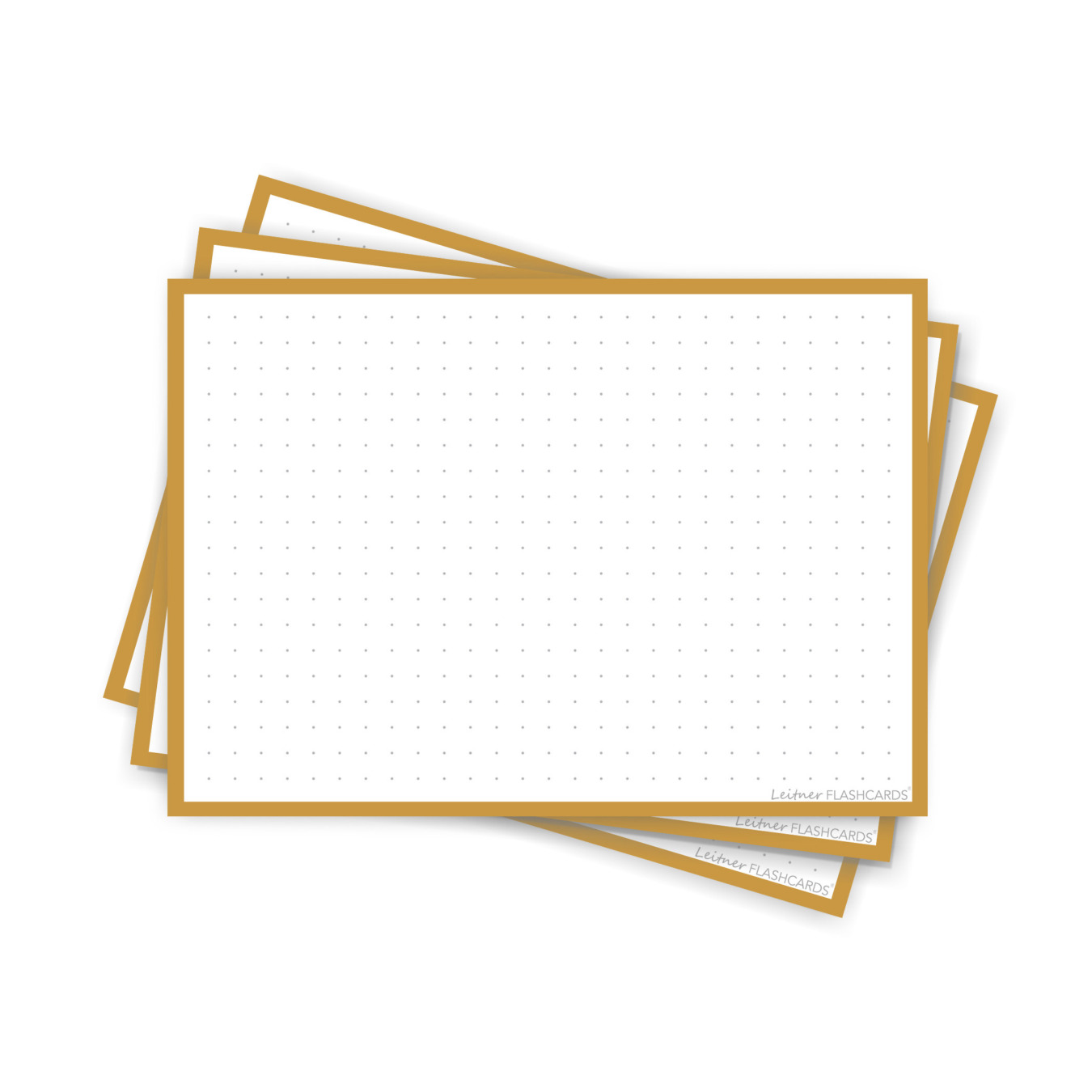 Leitner FLashcards Geld A6 Dotted Retro Senf