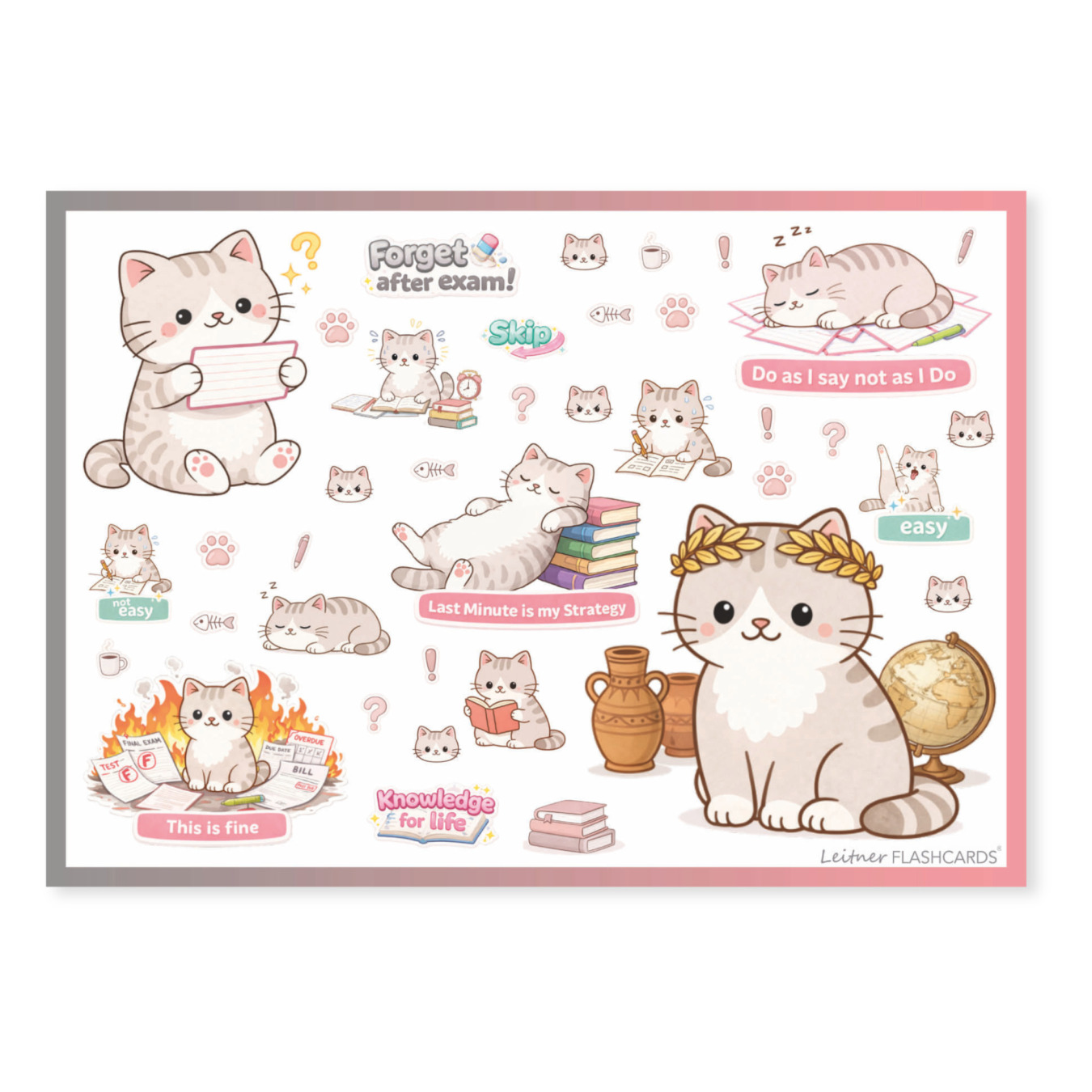 Leitner Flashcards Studi-Sticker Katze