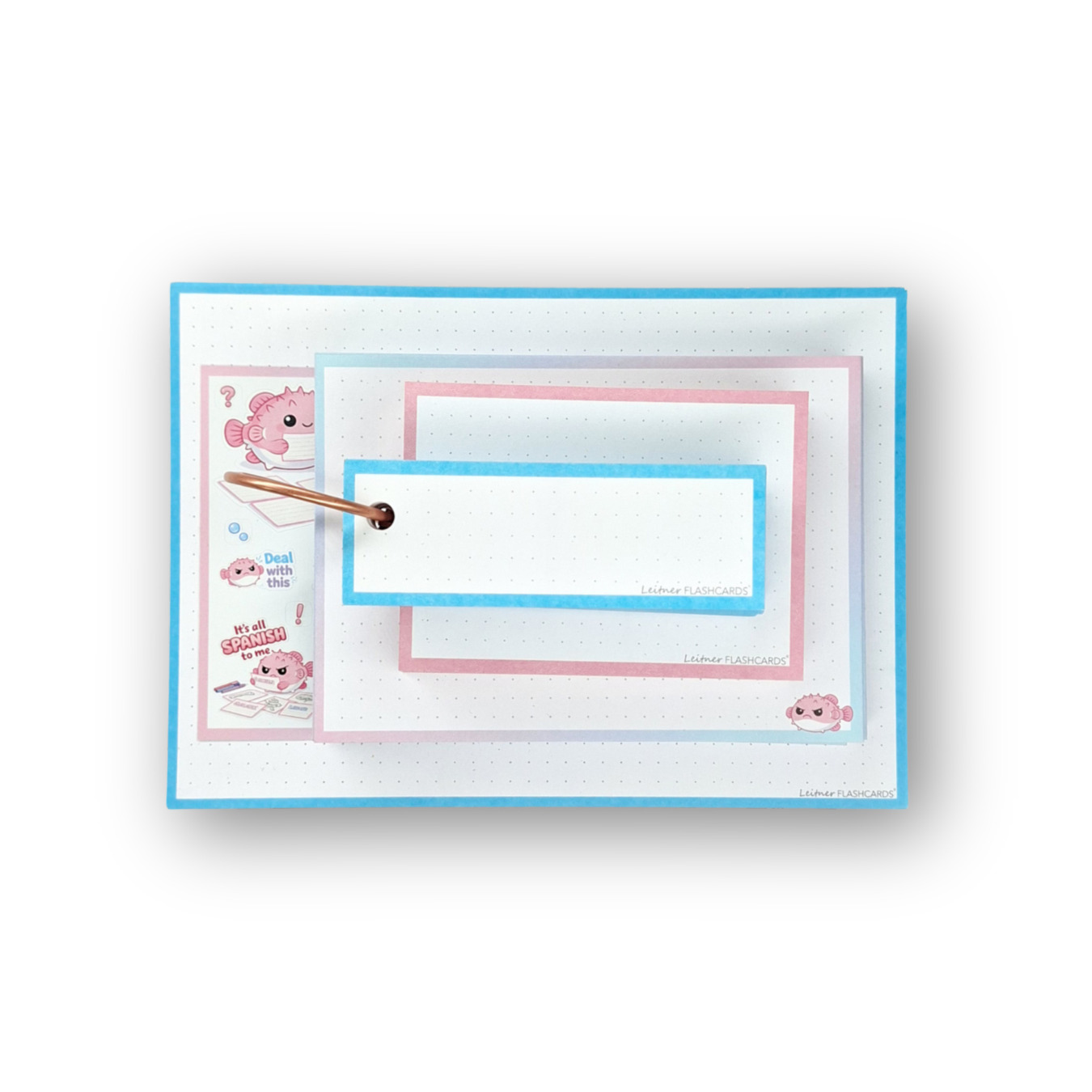 Leitner Flashcards Alle Karteikartenformate im Set Grimmiger Kugelfisch